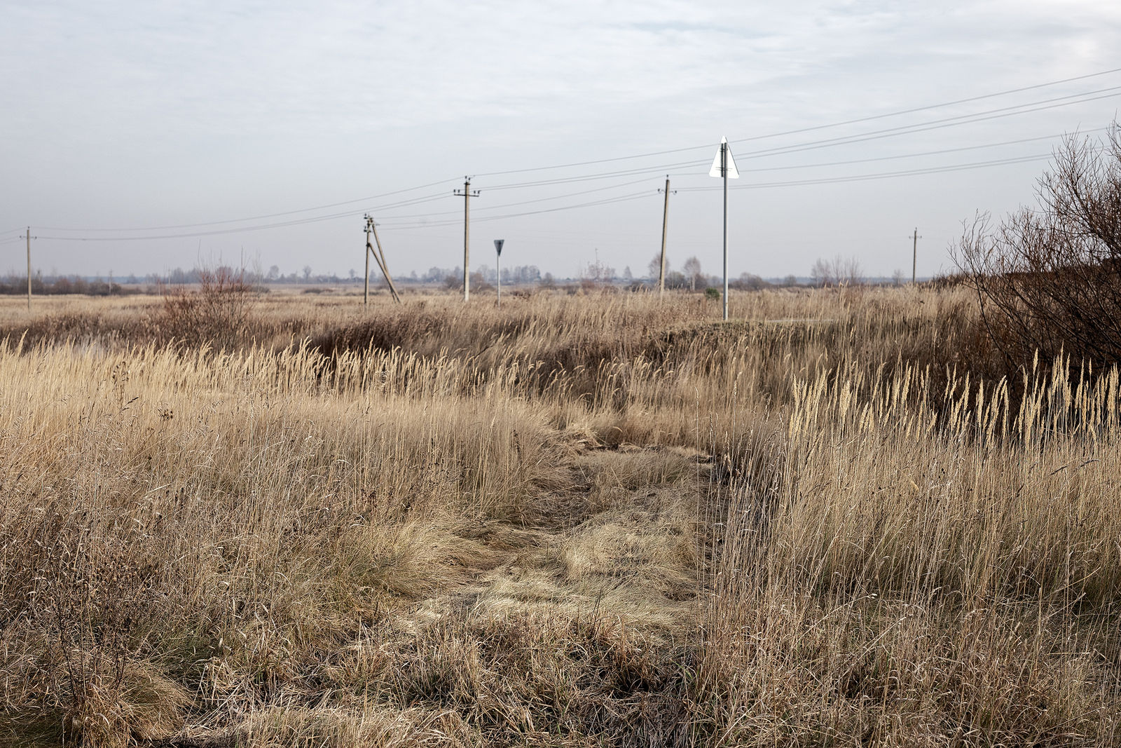 Документирование текущего состояния Национального парка "Мещера". Октябрь 2014 года