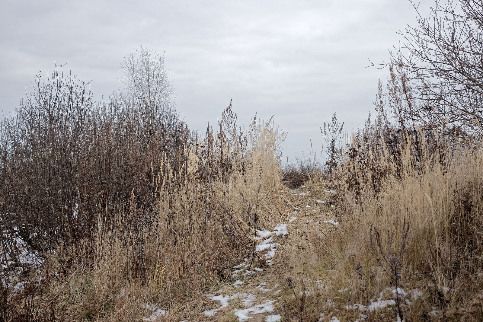 Документирование текущего состояния Национального парка "Мещера". Октябрь 2014 года