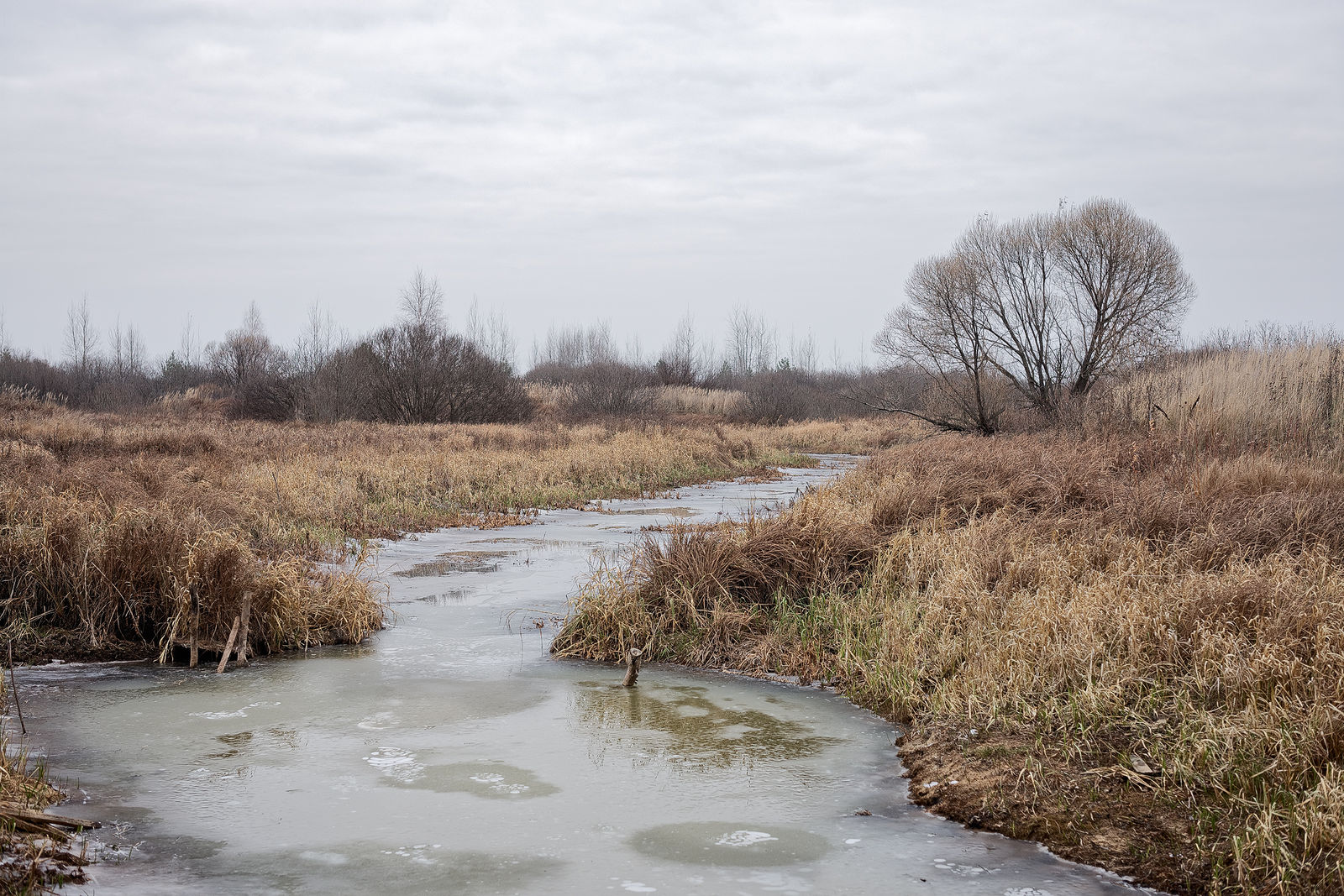 Документирование текущего состояния Национального парка "Мещера". Октябрь 2014 года