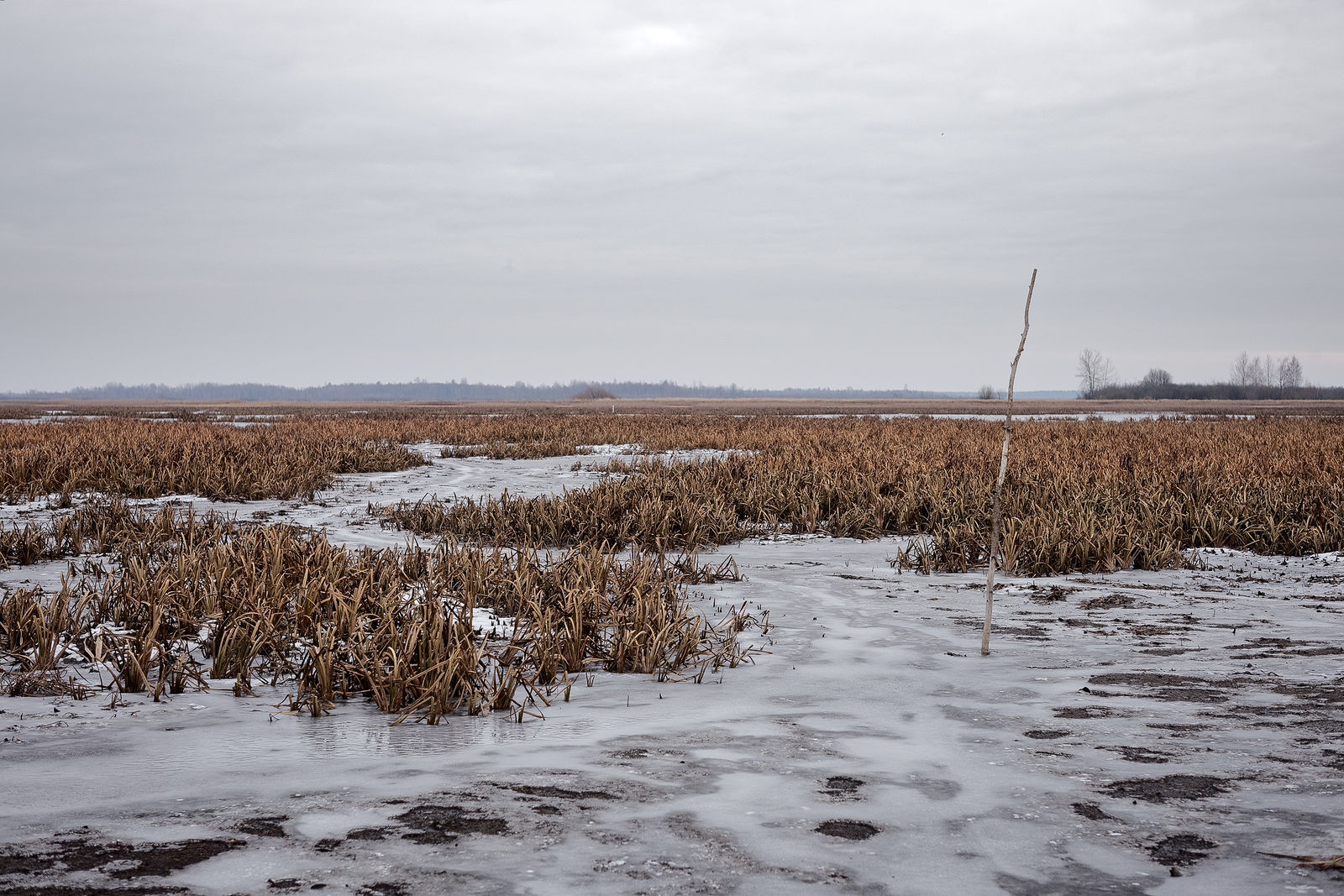 Документирование текущего состояния Национального парка "Мещера". Октябрь 2014 года