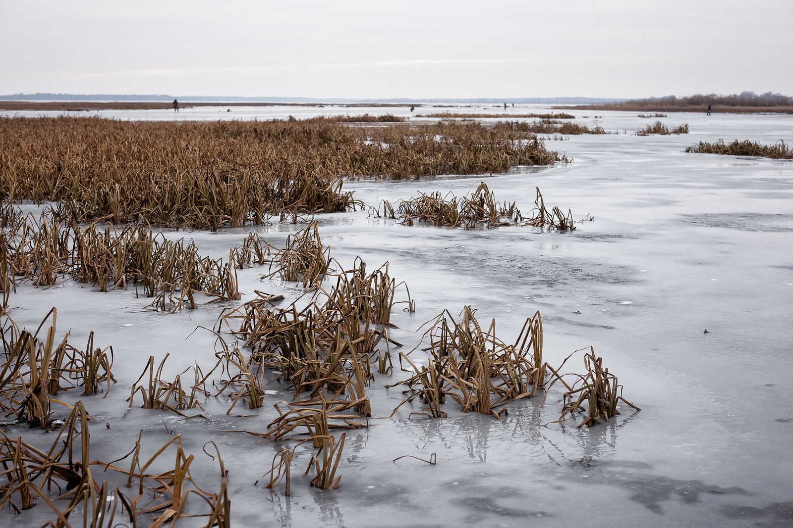 Документирование текущего состояния Национального парка "Мещера". Октябрь 2014 года