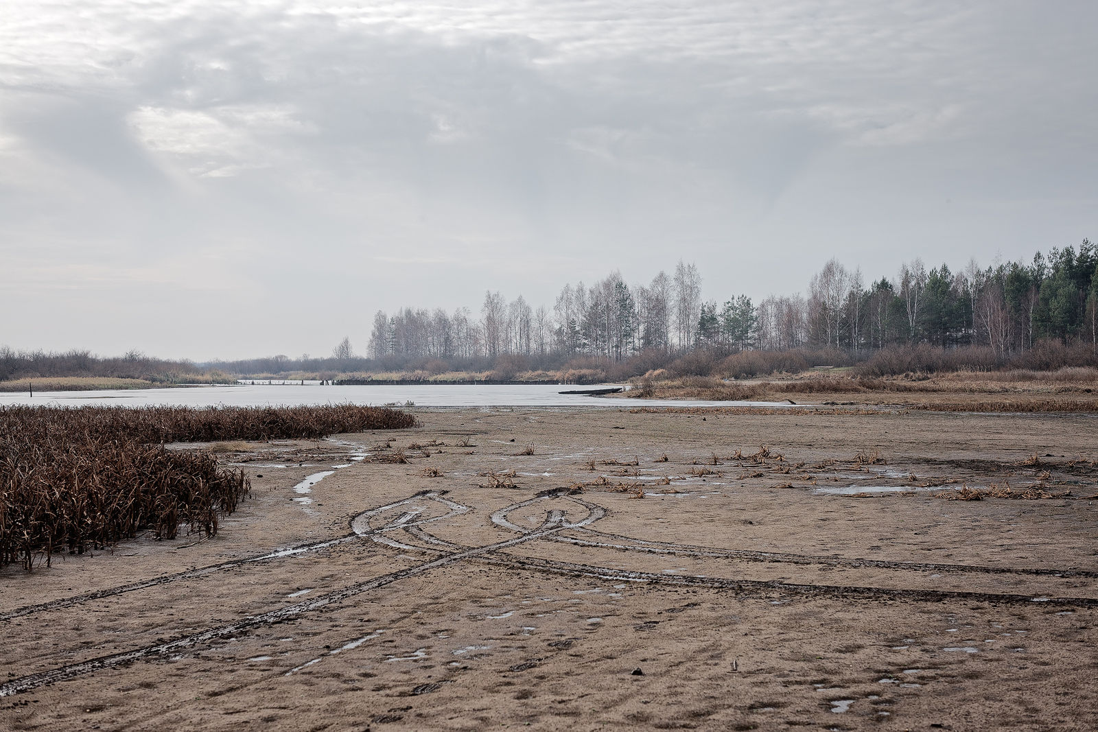 Документирование текущего состояния Национального парка "Мещера". Октябрь 2014 года