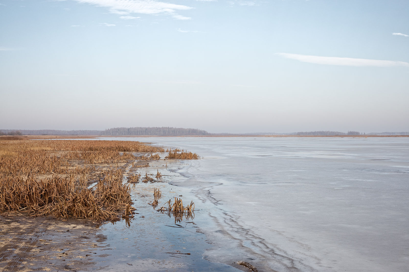 Документирование текущего состояния Национального парка "Мещера". Октябрь 2014 года