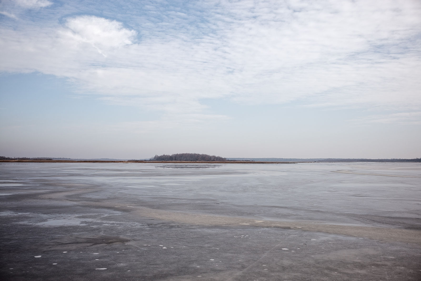 Документирование текущего состояния Национального парка "Мещера". Октябрь 2014 года
