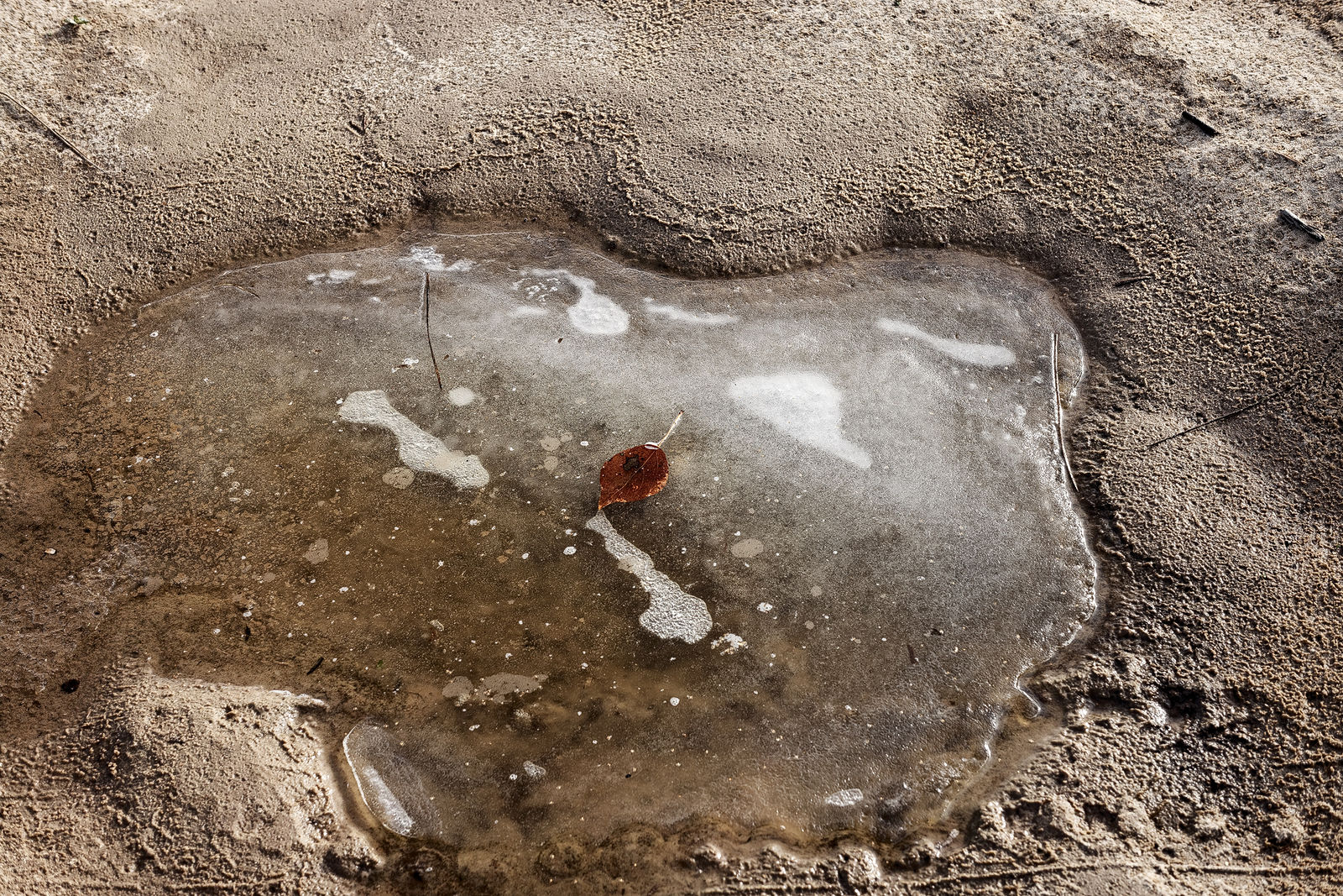 Документирование текущего состояния Национального парка "Мещера". Октябрь 2014 года