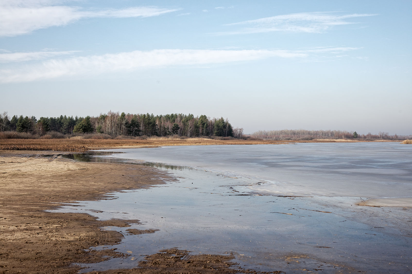 Документирование текущего состояния Национального парка "Мещера". Октябрь 2014 года