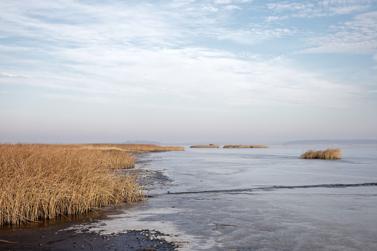 Документирование текущего состояния Национального парка "Мещера". Октябрь 2014 года