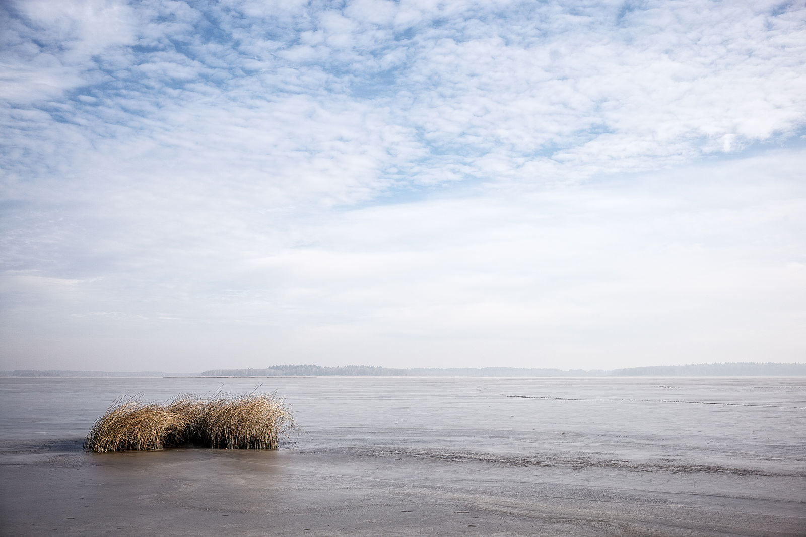 Документирование текущего состояния Национального парка "Мещера". Октябрь 2014 года
