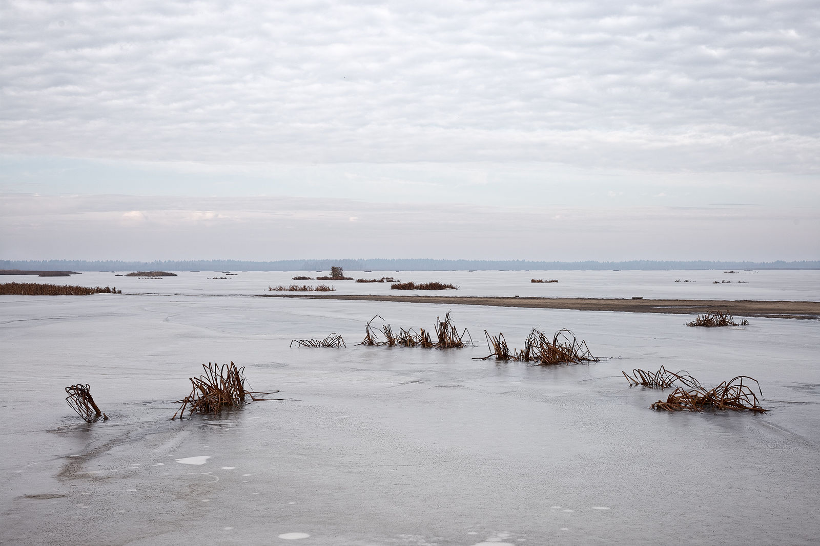 Документирование текущего состояния Национального парка "Мещера". Октябрь 2014 года