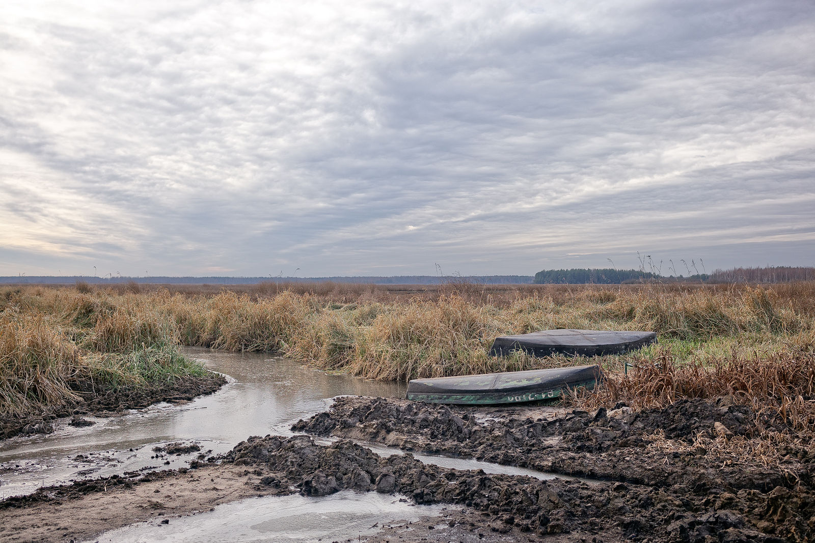 Документирование текущего состояния Национального парка "Мещера". Октябрь 2014 года