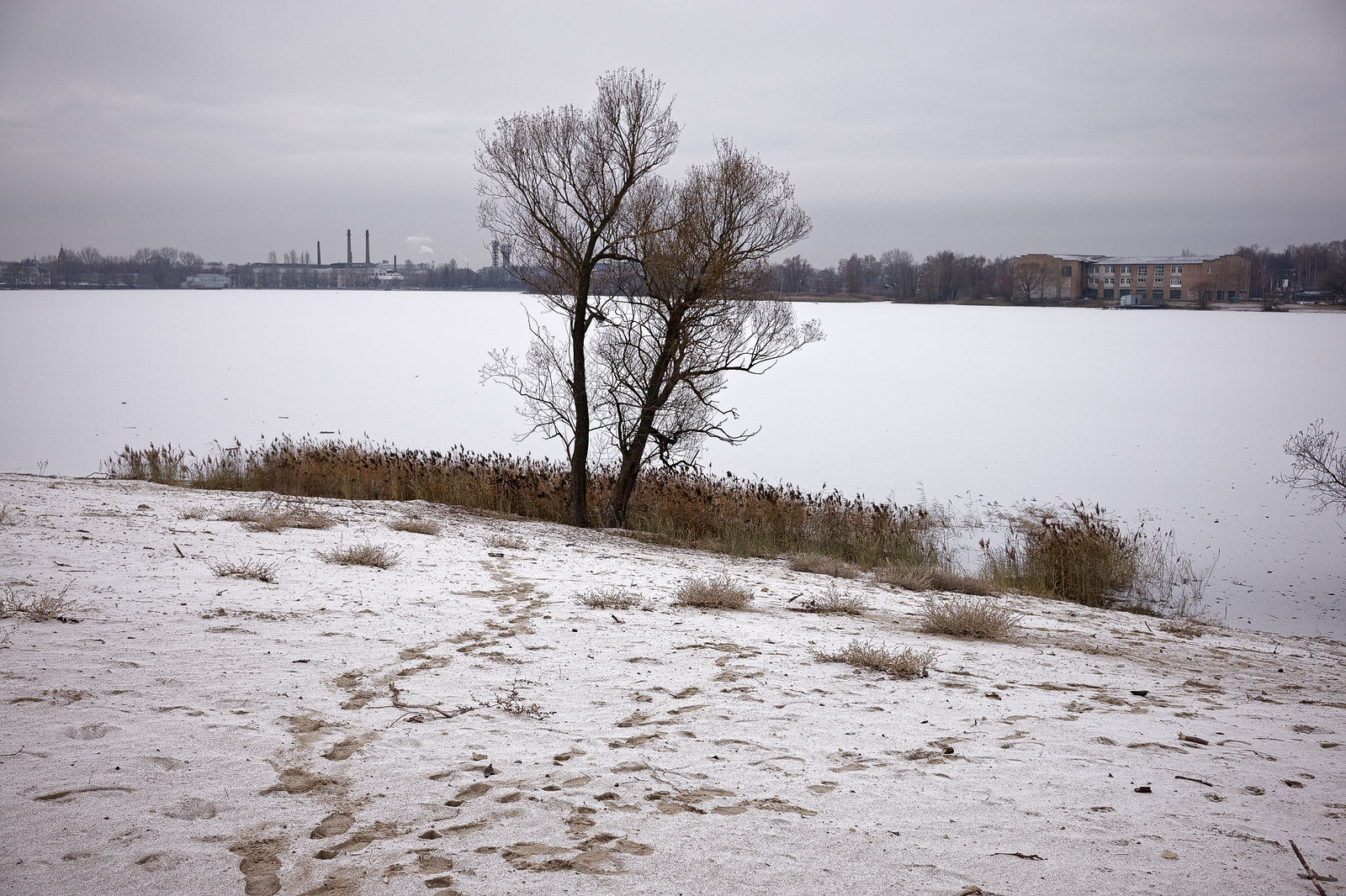 Документирование текущего состояния Национального парка "Мещера". Октябрь 2014 года