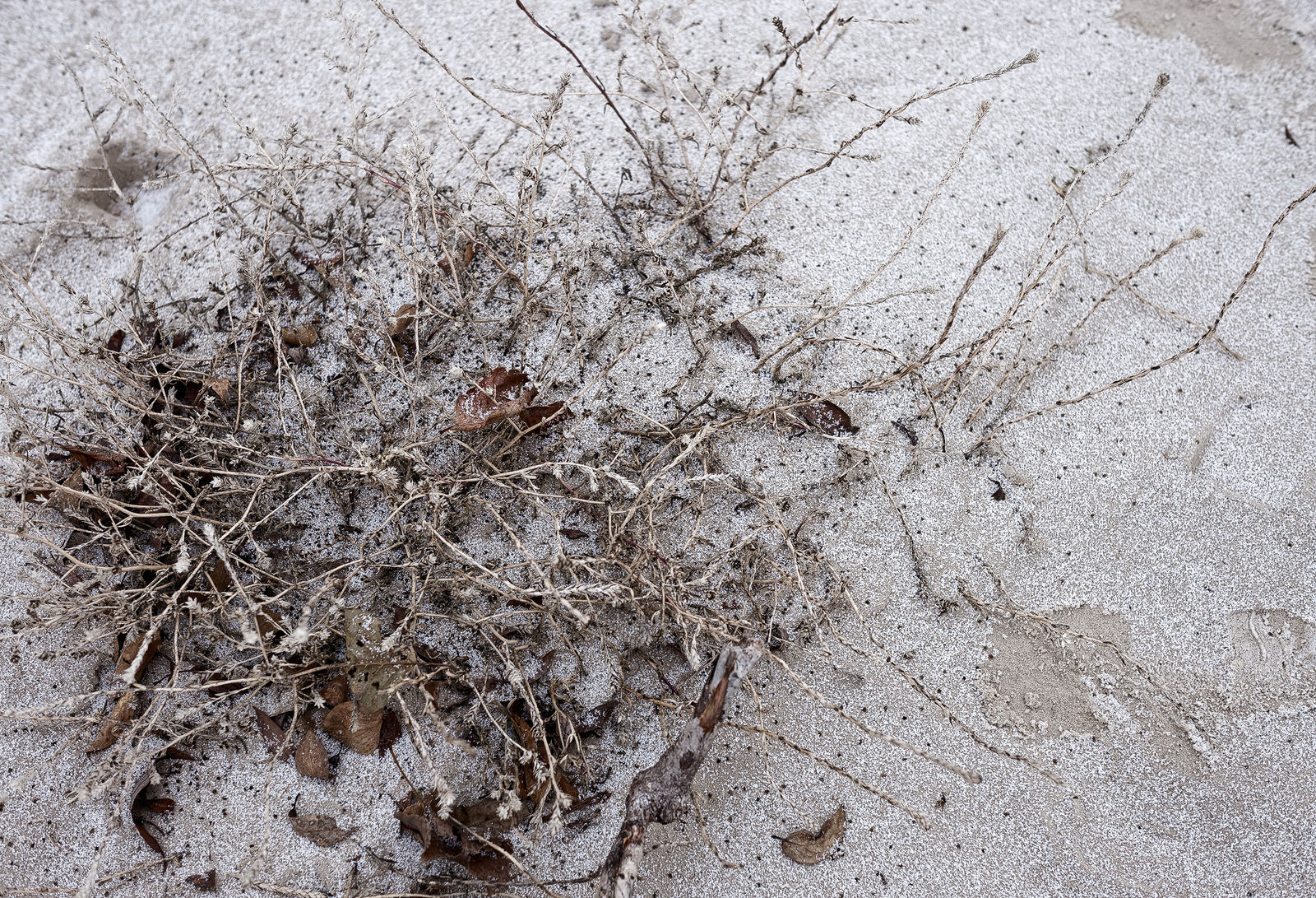 Документирование текущего состояния Национального парка "Мещера". Октябрь 2014 года