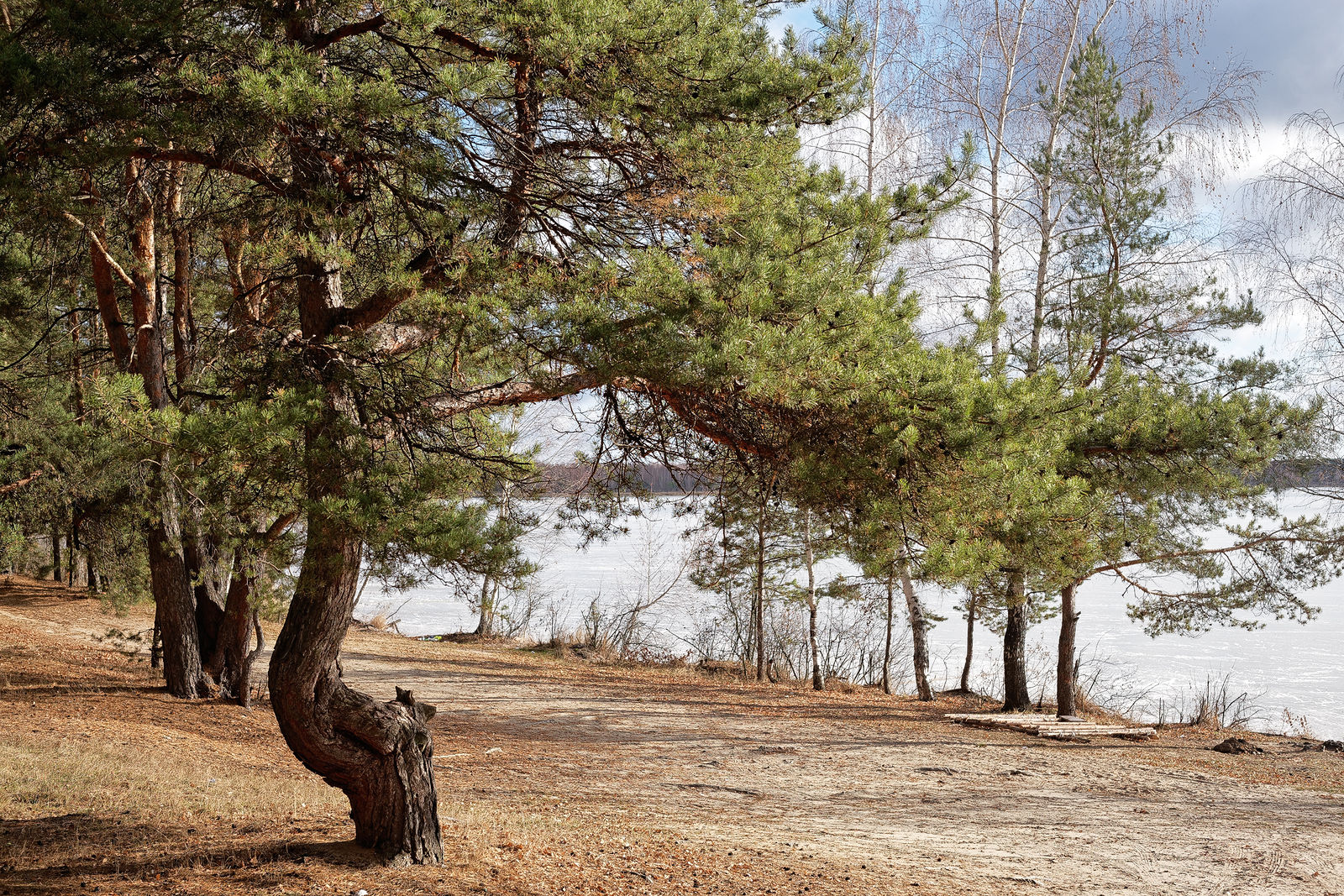 Документирование текущего состояния Национального парка "Мещера". Октябрь 2014 года