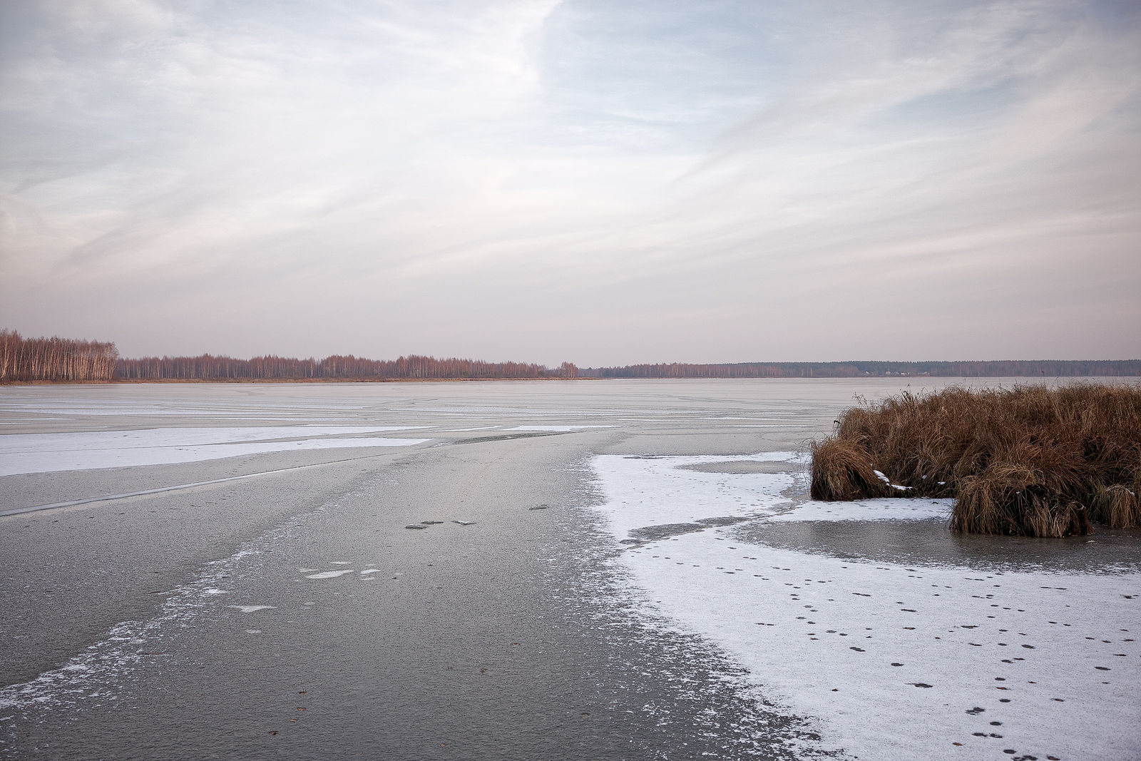 Документирование текущего состояния Национального парка "Мещера". Октябрь 2014 года