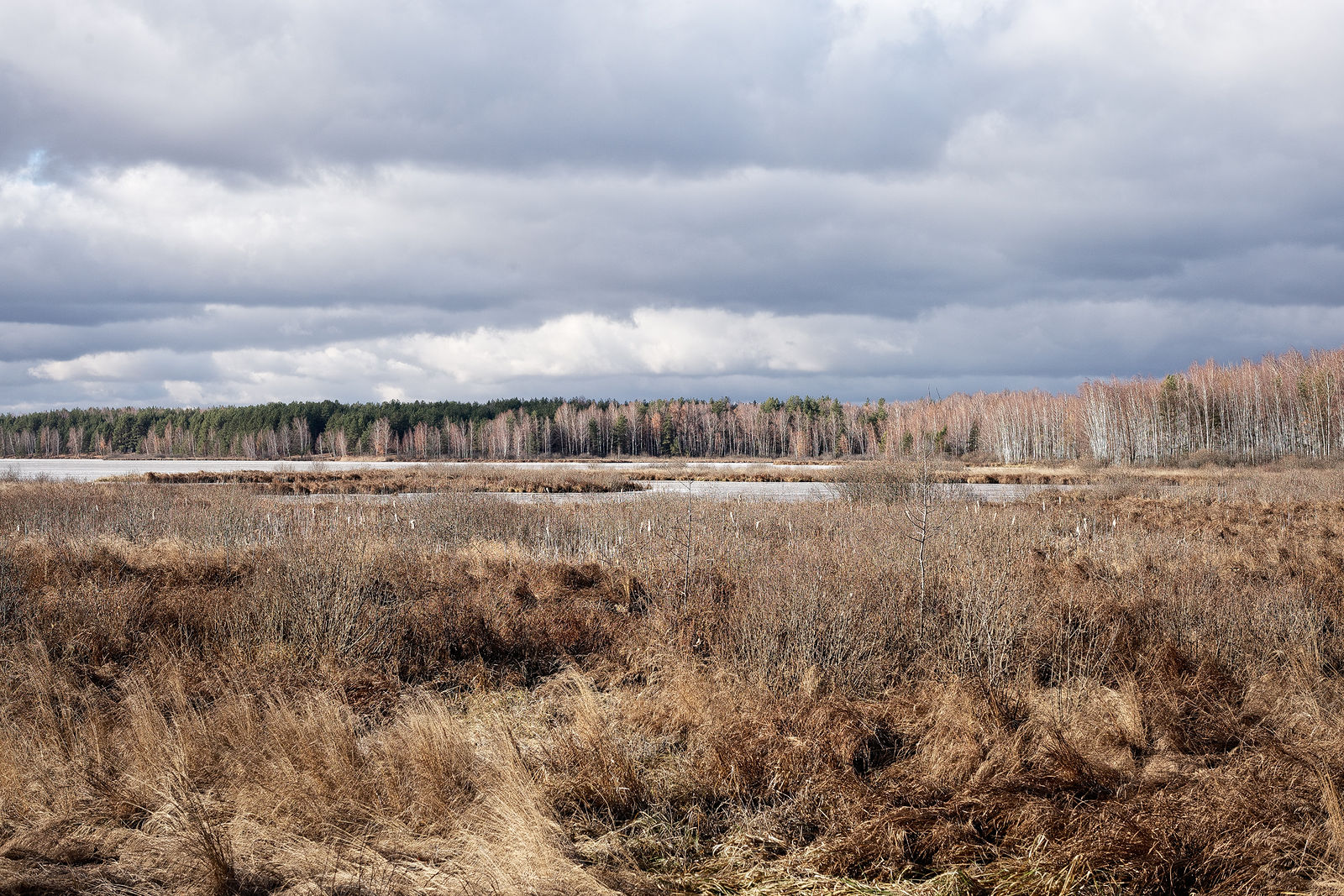 Документирование текущего состояния Национального парка "Мещера". Октябрь 2014 года