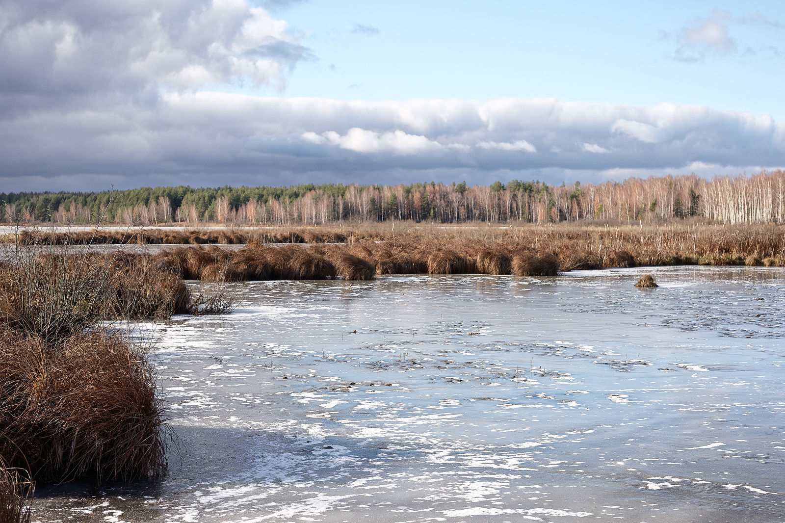 Документирование текущего состояния Национального парка "Мещера". Октябрь 2014 года
