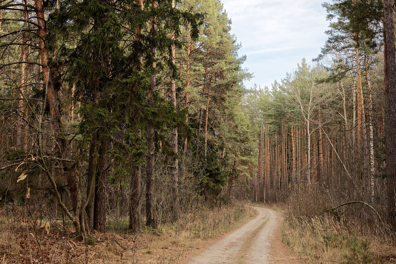 Документирование текущего состояния Национального парка "Мещера". Октябрь 2014 года