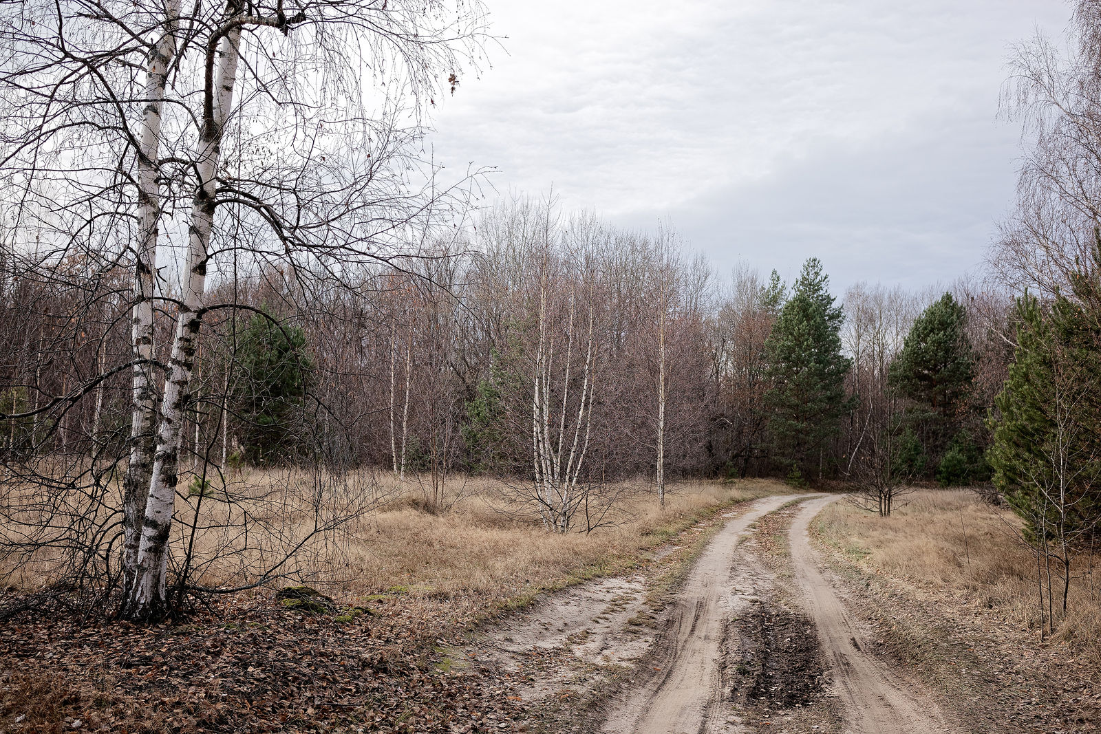 Документирование текущего состояния Национального парка "Мещера". Октябрь 2014 года