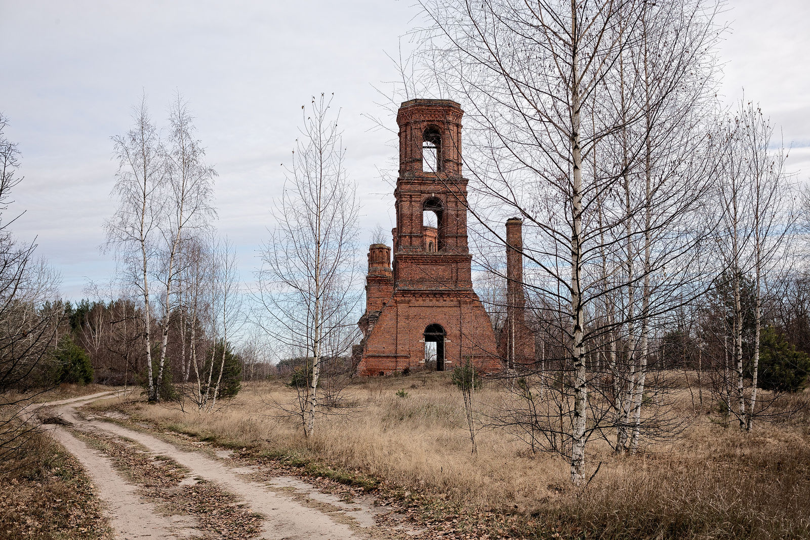 Документирование текущего состояния Национального парка "Мещера". Октябрь 2014 года