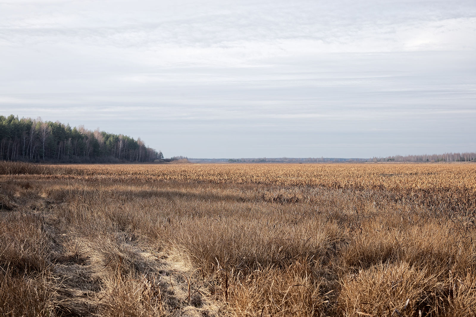 Документирование текущего состояния Национального парка "Мещера". Октябрь 2014 года
