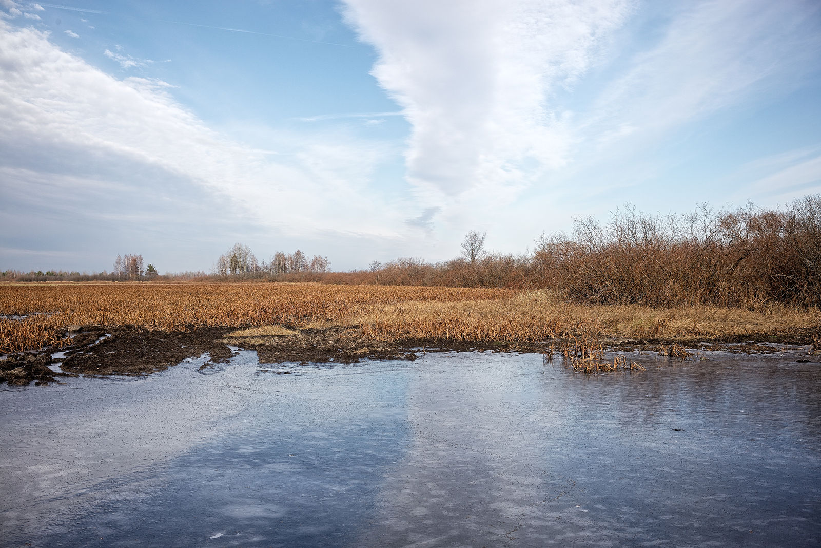 Документирование текущего состояния Национального парка "Мещера". Октябрь 2014 года