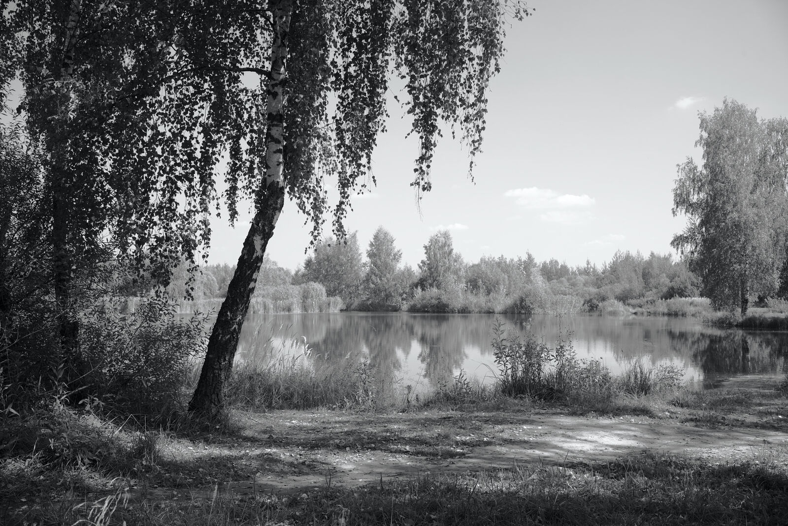 Фото природы в августе