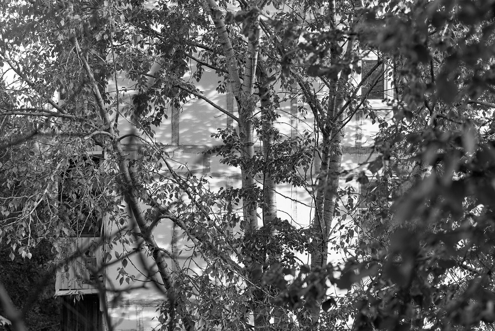 Москва, Россия